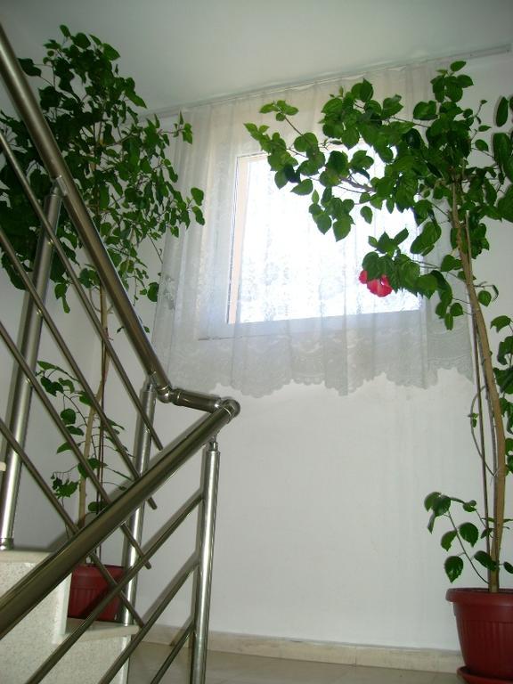 אהלוי Guest House Jumbo מראה חיצוני תמונה